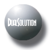 Diseo Web Dual Solution